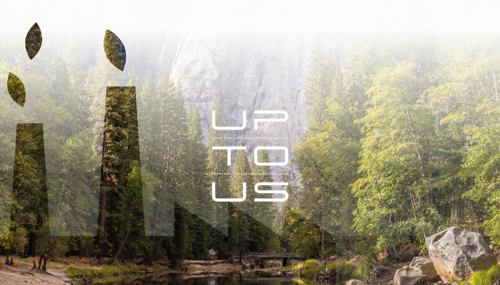 Approvvigionamento Sostenibile