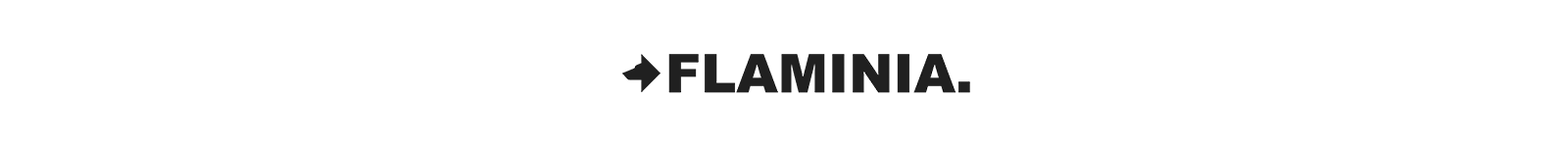 FLAMINIA，成功引进萨克米安全和智能输送系统