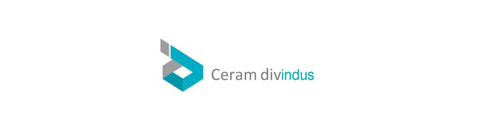 Divindus invests once more in SACMI technology: robotized glazing for the El Milia factory