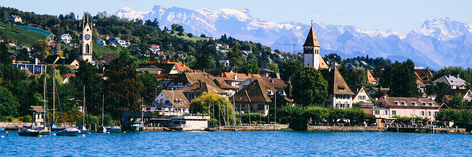 CONFERENZA: PETNOLOGY 2026